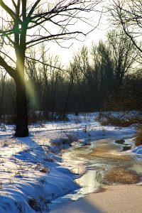 Winter along Sanders Creek